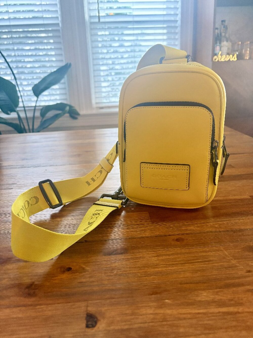 Coach Track Pack 14 (smooth calf leather)